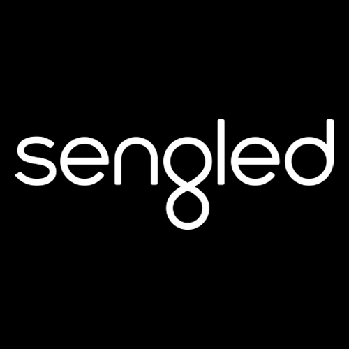 Brand Logo 2